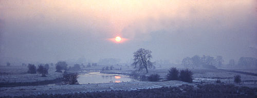 Winter Sunset