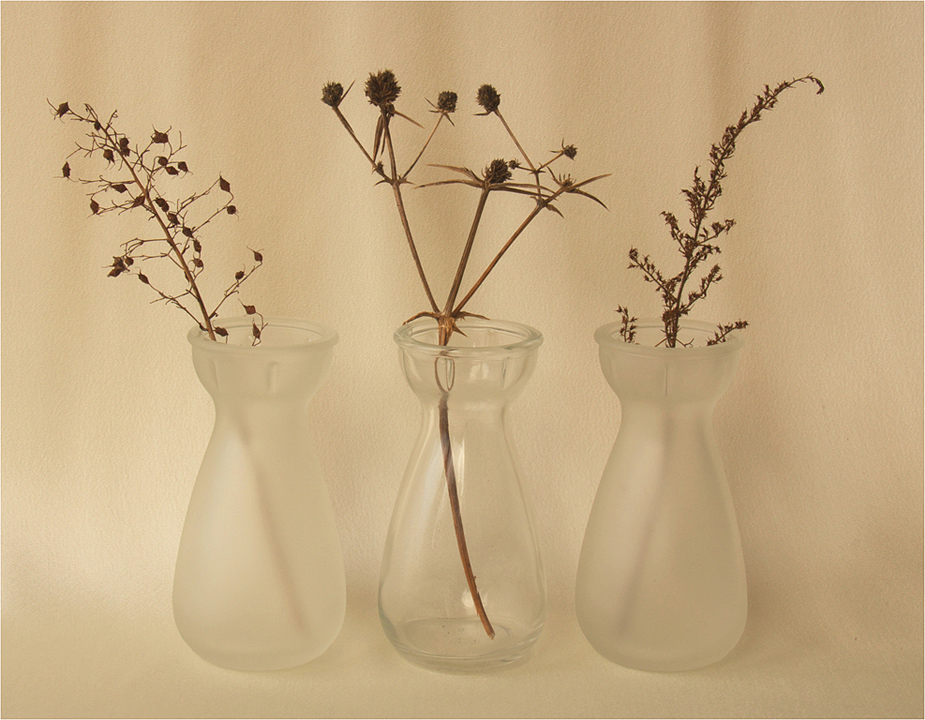 Winter Seedheads