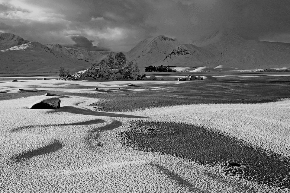 Winters Wonderland