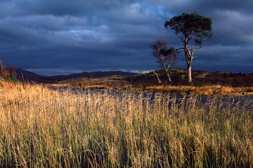 Gathering Storm