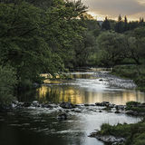 River Gryffe Evening