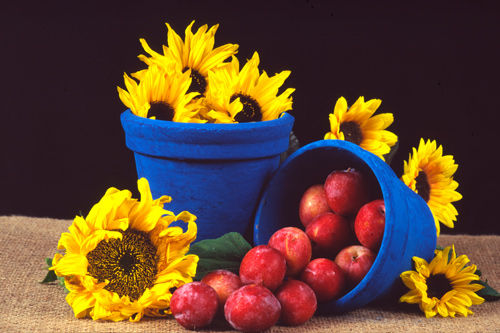 Sunflowers and Fruit