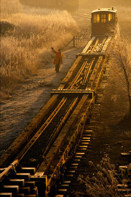 The Signal