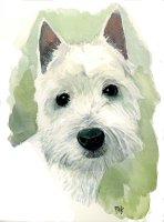 Various Illustrations