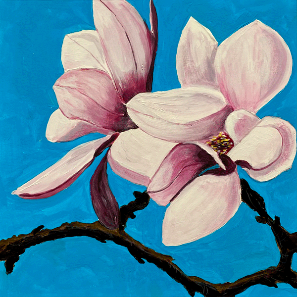 Magnolia