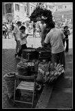 Chestnut seller