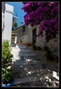 Street Skopelos