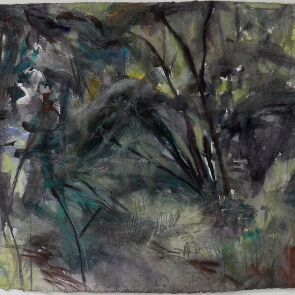 11-6-2020 56x76cm