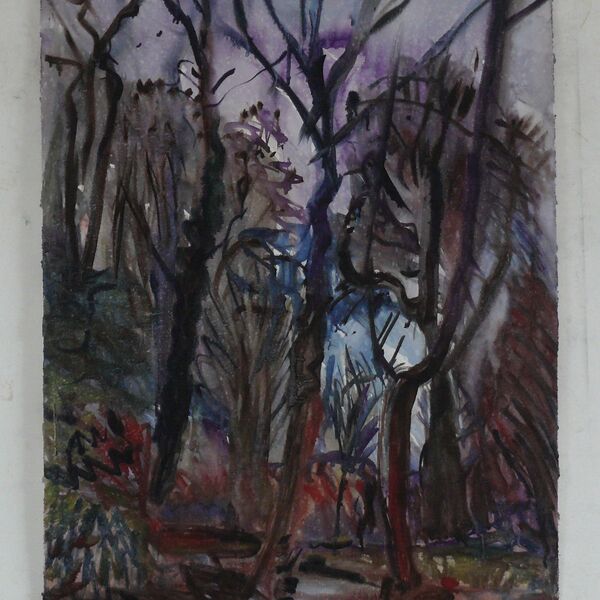 13-1-2021 76x56cm