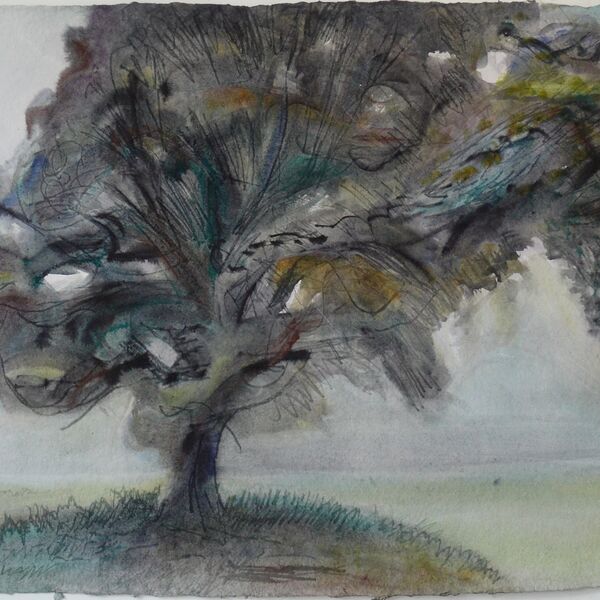 13-6-2020 56x76cm