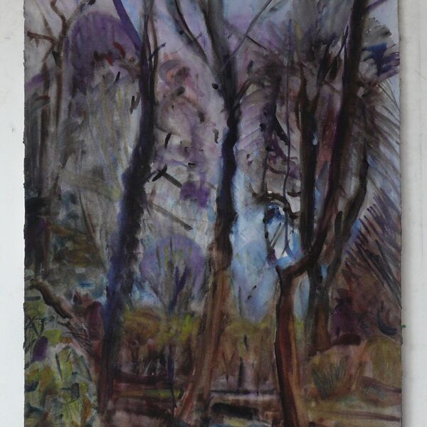 18-1-21 76x56cm