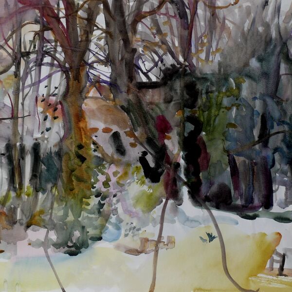 18-4-2020 50x65cm