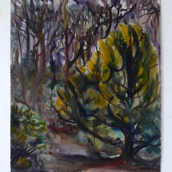21-3-2021 76x56cm