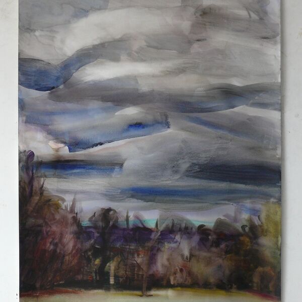 27-3-2021 76x56cm