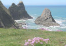 SPRINGTIME FLOWERS AT CEIBWR