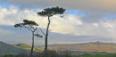 SUN AND SHADOW ON DINAS MOUNTAIN