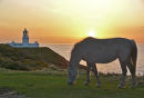 STRUMBLE HEAD SUNSET