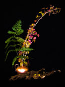 STILL LIFE WITH FERN AND IVY