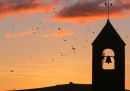 SUNRISE AND JACKDAWS OVER ST. MARY'S CHURCH BELLTOWER, FISHGUARD