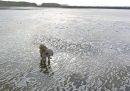 SEA FOAM AND HIGH WINDS AT FRESHWATER WEST