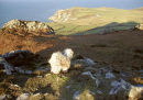ATOP GARN FAWR, OVERLOOKING PWLL DERI