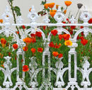 CALIFORNIA POPPIES AND WROUGHT IRON RAILINGS