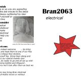 2016 Irish general election leaflets