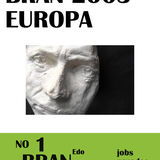 2018 Irish presidential election leaflets