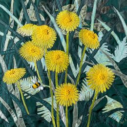 Dandelions