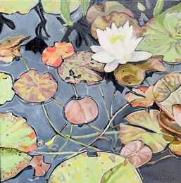 A lily in the pond