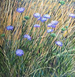 Cornflowers