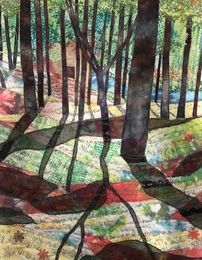 Tree shadows