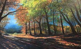 Autumn sunshine