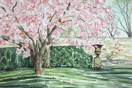 Cherry blossom time