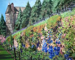 Delphiniums in bloom