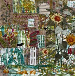 Down at the allotments