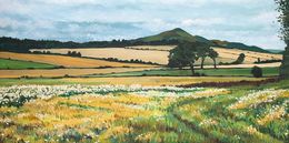 Hills of home