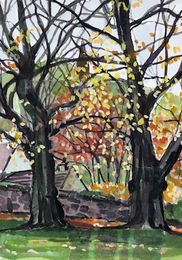 Between the trees