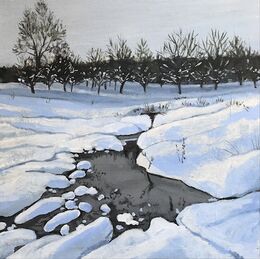 Snow blanketed