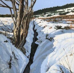 Snow scar