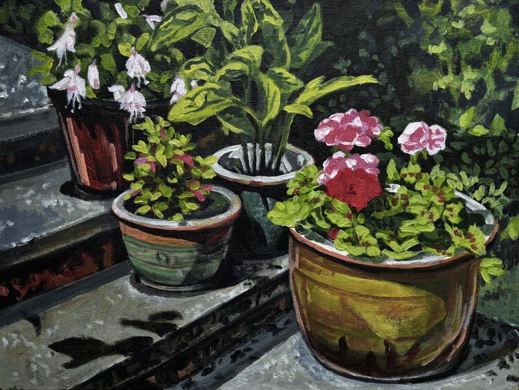 Sun-drenched pots