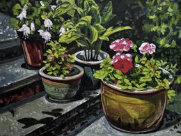 Sun-drenched pots