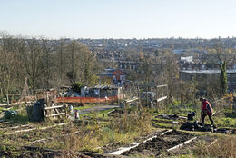 Person working on Alexander Palace Allotment
