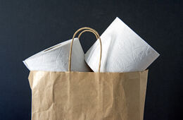 Recycled toilet rolls in brown paper carrier bag