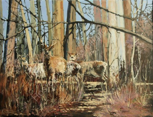 Almost Hidden : £250