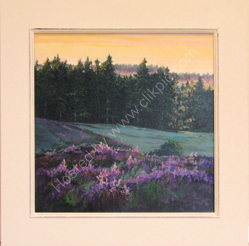 New Forest : £195