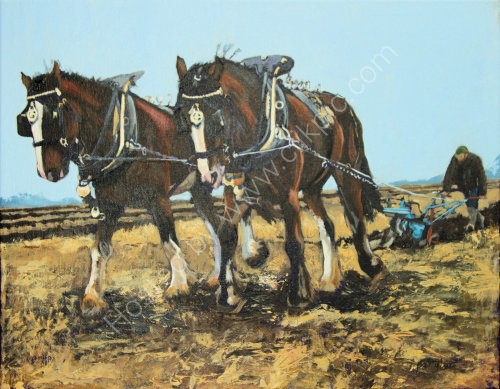 Farming Nostalgia: ploughing : £295