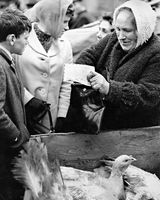 33 Christmas Turkey Market - Airmail money from abroad?