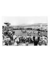 56 Dundalk Racecourse 1970's