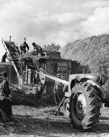 62 Saving the hay - Dundalk area